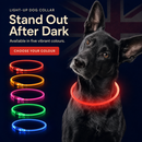 NightGlow 360° Rechargeable Dog Visibility Collar