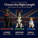 NightGlow 360° Rechargeable Dog Visibility Collar