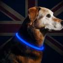 NightGlow 360° Rechargeable Dog Visibility Collar