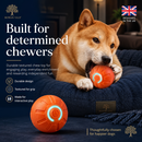 MotionPlay Rechargeable Interactive Dog Ball