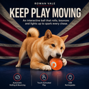 MotionPlay Rechargeable Interactive Dog Ball