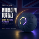 MotionPlay Rechargeable Interactive Dog Ball
