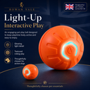 MotionPlay Rechargeable Interactive Dog Ball