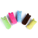 PouncePal Plush Catnip Toy