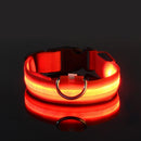 GlowWalk Light-Up Nylon Dog Collar