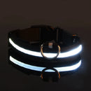 GlowWalk Light-Up Nylon Dog Collar