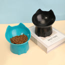 PawServe Raised & Angled Cat Bowl