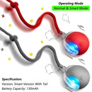 TailChase Rechargeable Interactive Cat Ball