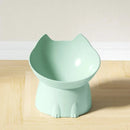 PawServe Raised & Angled Cat Bowl