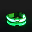 GlowWalk Light-Up Nylon Dog Collar