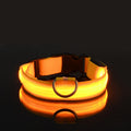 GlowWalk Light-Up Nylon Dog Collar