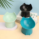 PawServe Raised & Angled Cat Bowl