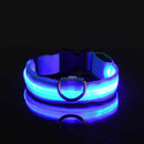 GlowWalk Light-Up Nylon Dog Collar