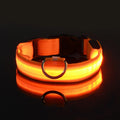 GlowWalk Light-Up Nylon Dog Collar