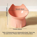 PawServe Raised & Angled Cat Bowl