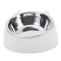 EasyReach Raised & Angled Cat Bowl