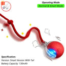 TailChase Rechargeable Interactive Cat Ball