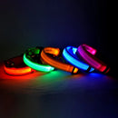 GlowWalk Light-Up Nylon Dog Collar