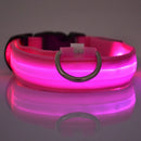 GlowWalk Light-Up Nylon Dog Collar