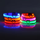 GlowWalk Light-Up Nylon Dog Collar