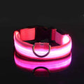 GlowWalk Light-Up Nylon Dog Collar