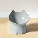PawServe Raised & Angled Cat Bowl