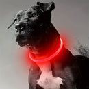 NightGlow 360° Rechargeable Dog Visibility Collar
