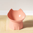 PawServe Raised & Angled Cat Bowl