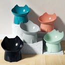 PawServe Raised & Angled Cat Bowl