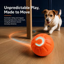 MotionPlay Rechargeable Interactive Dog Ball