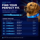 GlowWalk Light-Up Nylon Dog Collar
