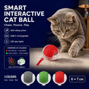 TailChase Rechargeable Interactive Cat Ball