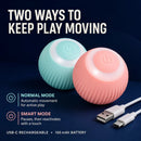 TailChase Rechargeable Interactive Cat Ball