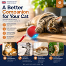 TailChase Rechargeable Interactive Cat Ball