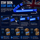 GlowWalk Light-Up Nylon Dog Collar