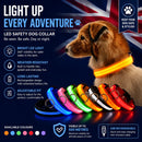 GlowWalk Light-Up Nylon Dog Collar