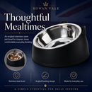 EasyReach Raised & Angled Cat Bowl